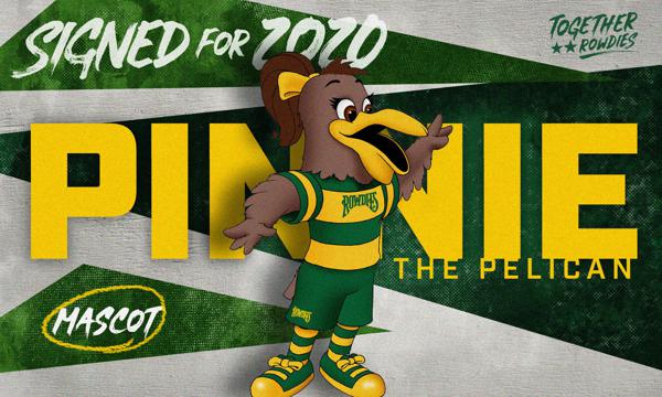 Rowdies Welcome Pinnie the Pelican to Mascot Family - Tampa Bay